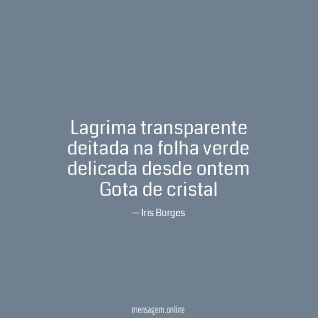 Lagrima transparente deitada na folha verde delicada desde ontem Gota de cristal