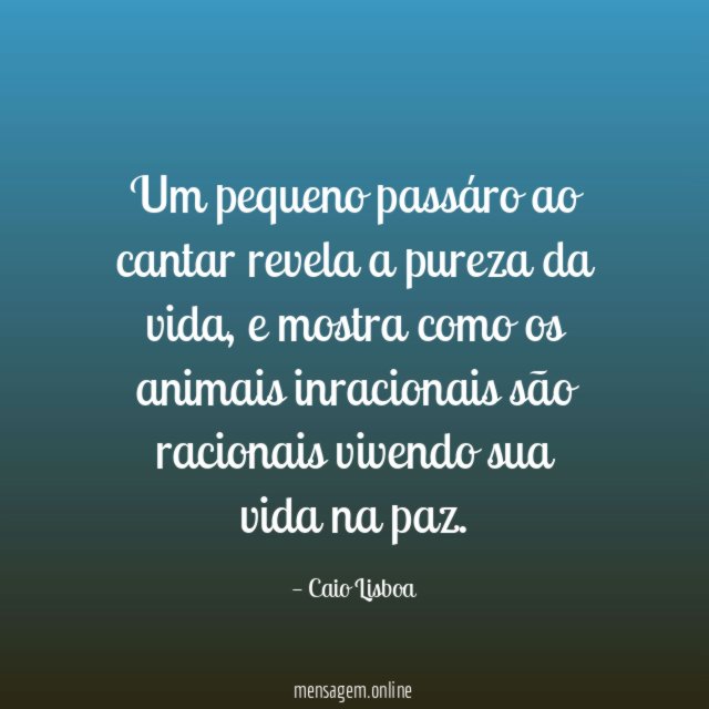 Um pequeno passáro ao cantar revela a pureza da vida