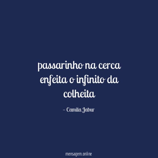 passarinho na cerca enfeita o infinito da colheita