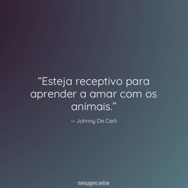 Esteja receptivo para aprender a amar com os animais