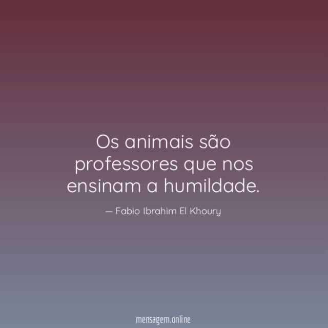 Os animais são professores que nos ensinam a humildade