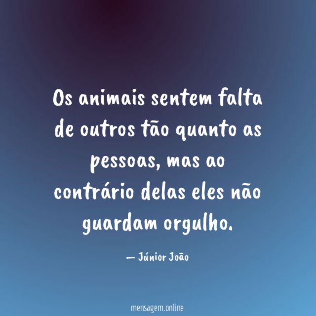 Os animais sentem falta de outros tão quanto as pessoas