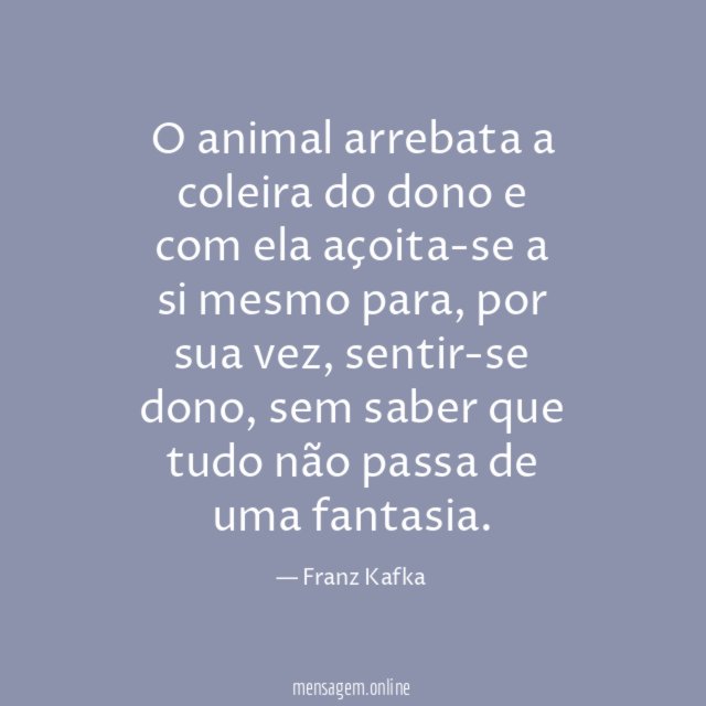 O animal arrebata a coleira do dono