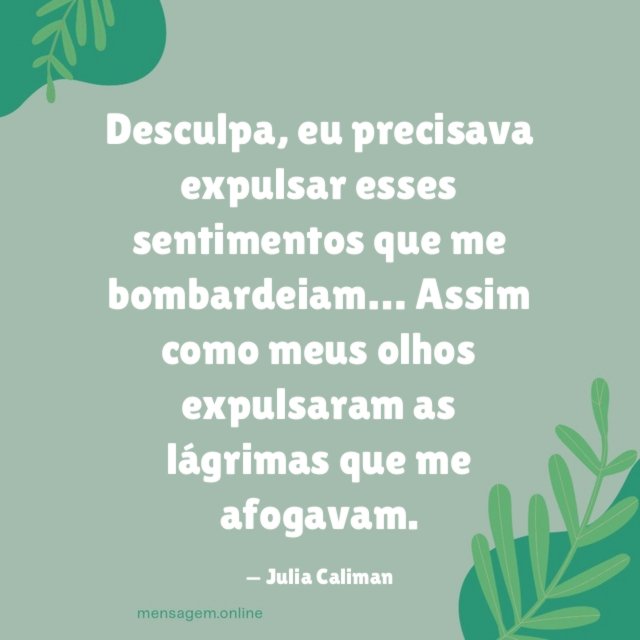 Desculpa