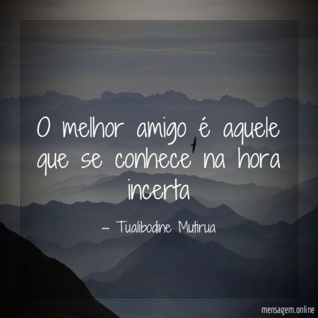 O melhor amigo é aquele que se conhece na hora incerta"