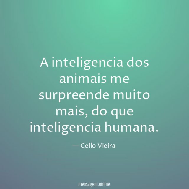 A inteligencia dos animais me surpreende muito mais