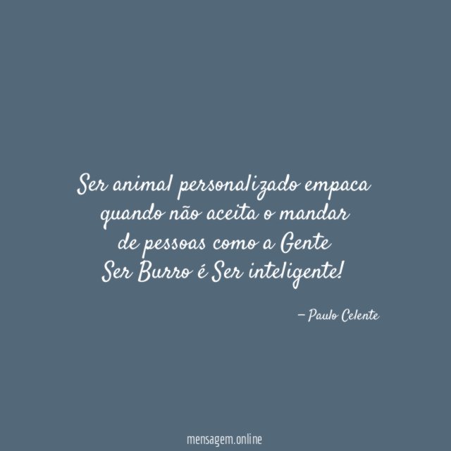 Ser animal personalizado empaca quando não aceita o mandar de