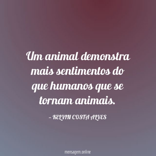 Um animal demonstra mais sentimentos do que humanos que se tornam animais