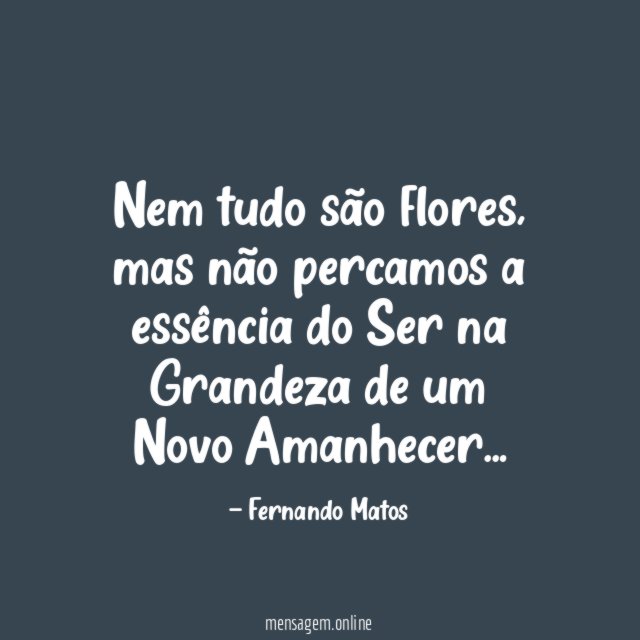 Nem tudo são flores