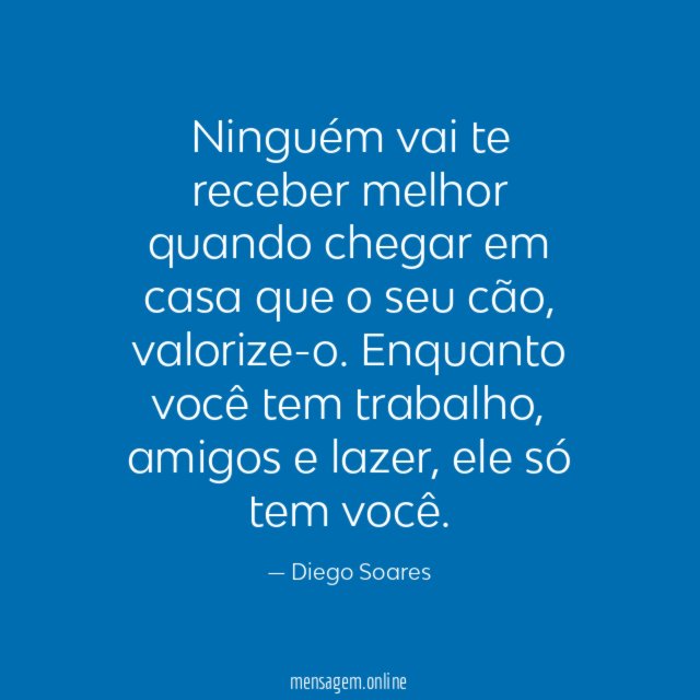 Ninguém vai te receber melhor quando chegar em