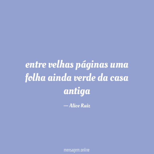 entre velhas páginas uma folha ainda verde da casa antiga