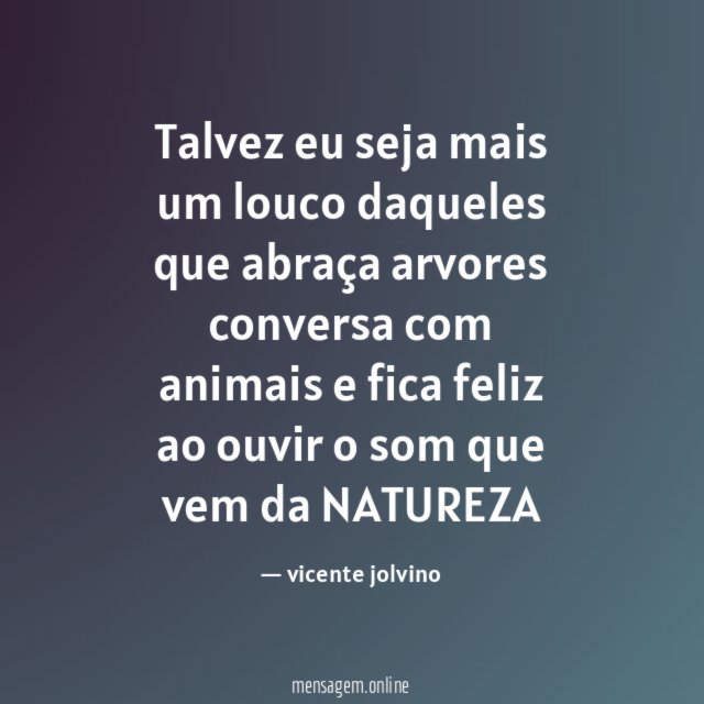 Talvez eu seja mais um louco daqueles que