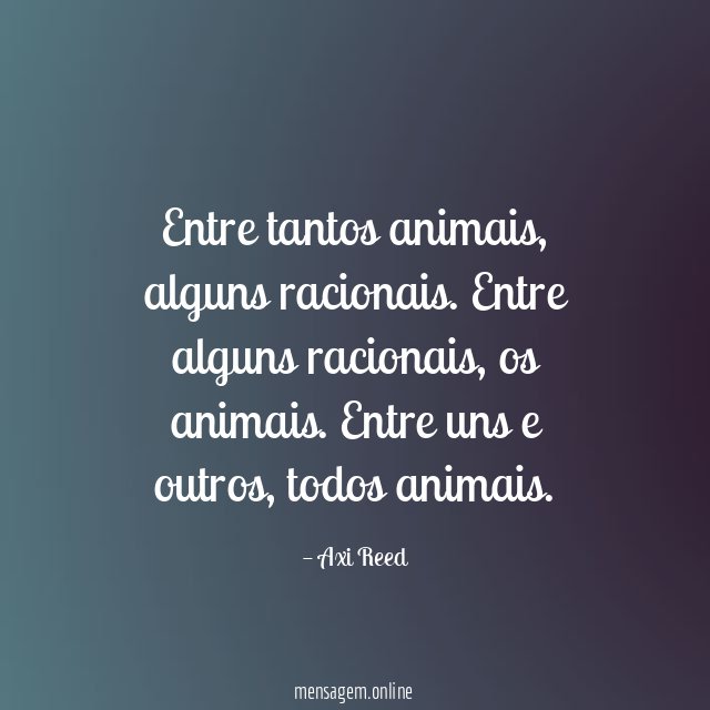 Entre tantos animais