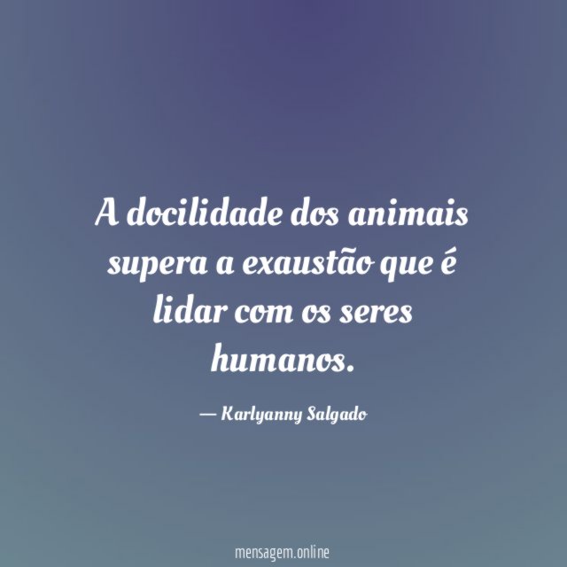 A docilidade dos animais supera a exaustão que