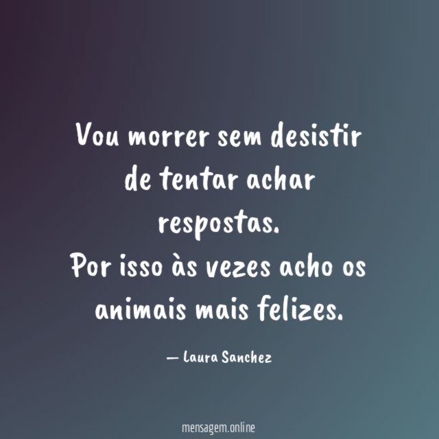 Vou morrer sem desistir de tentar achar respostas