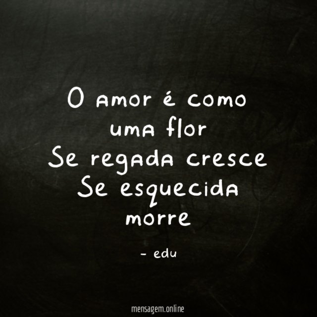 O amor é como uma flor Se regada cresce Se esquecida morre