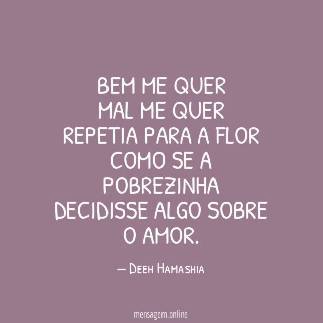 Bem me quer Mal me quer Repetia para a flor Como