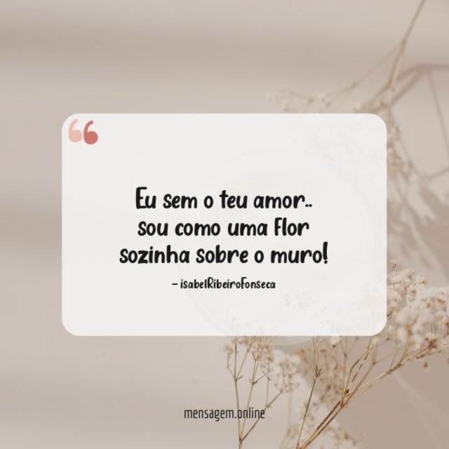 Eu sem o teu amor