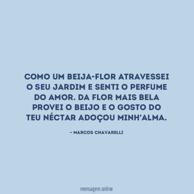 Como um beija-flor atravessei o seu jardim