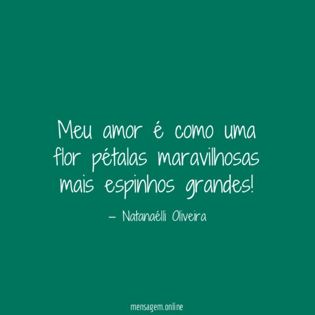 Meu amor é como uma flor pétalas maravilhosas mais espinhos grandes