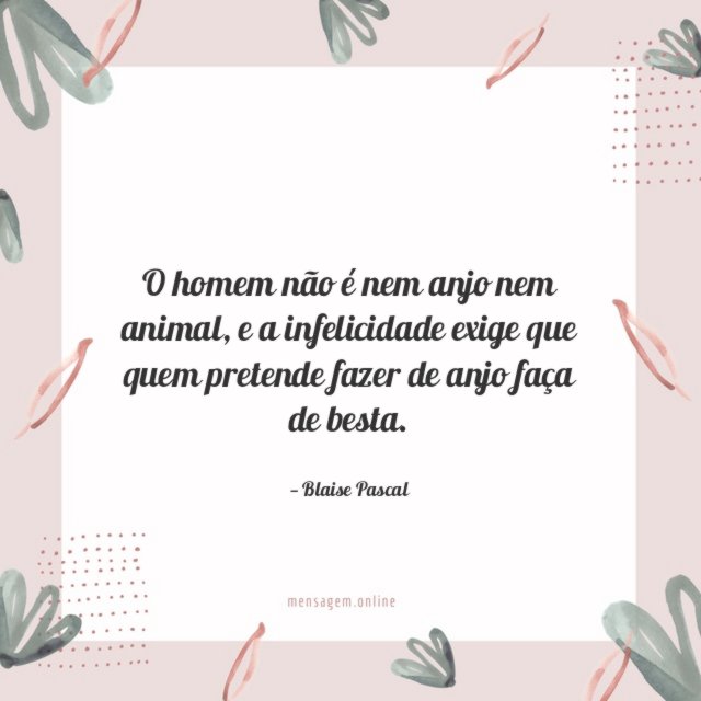 O homem não é nem anjo nem animal