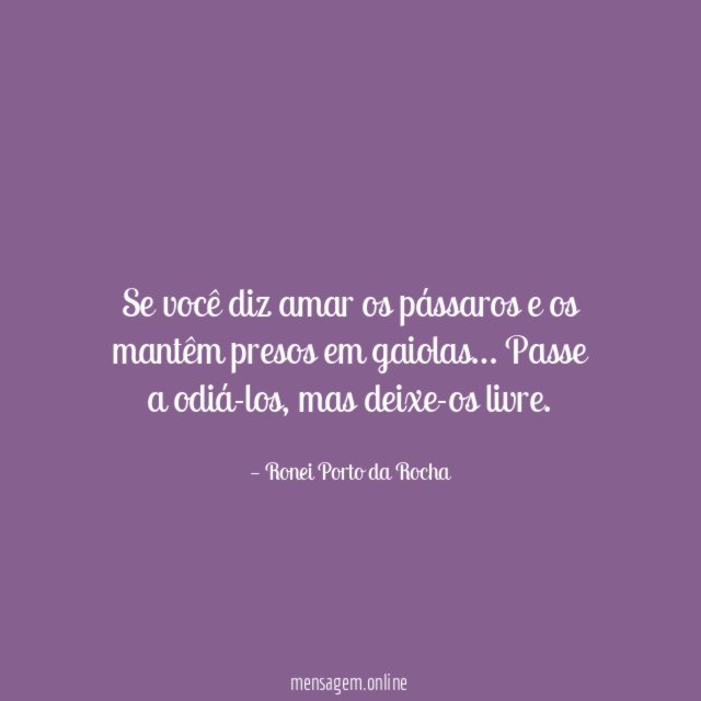 Se você diz amar os pássaros e os