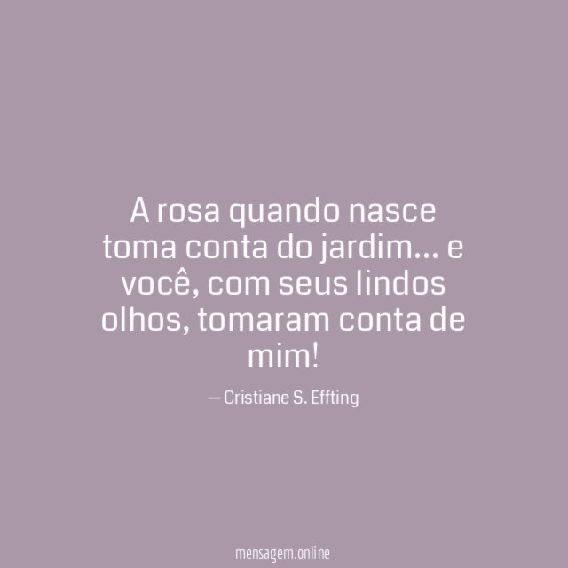 A rosa quando nasce toma conta do jardim