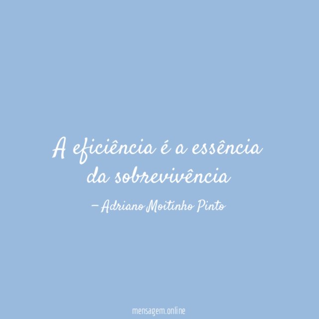 A eficiência é a essência da sobrevivência