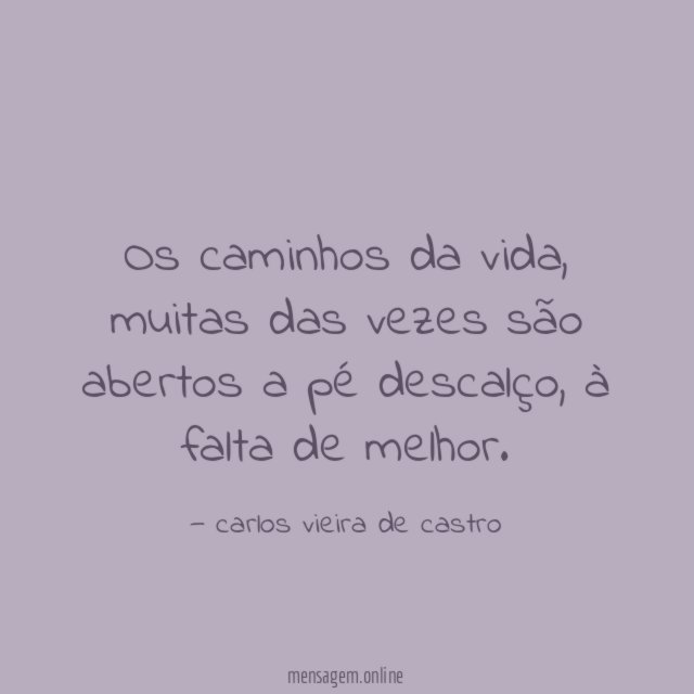 Os caminhos da vida