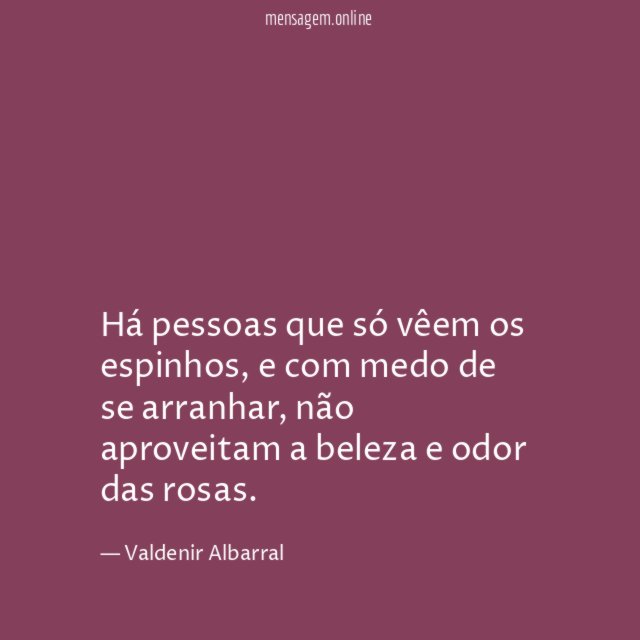 Há pessoas que só vêem os espinhos