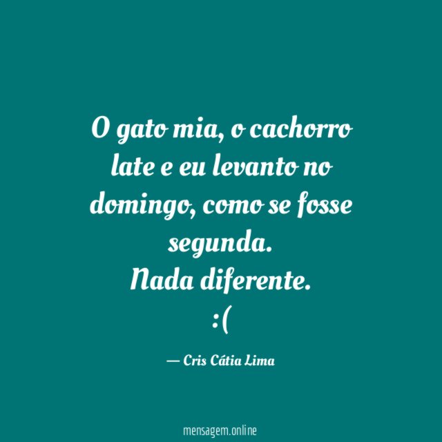 O gato mia