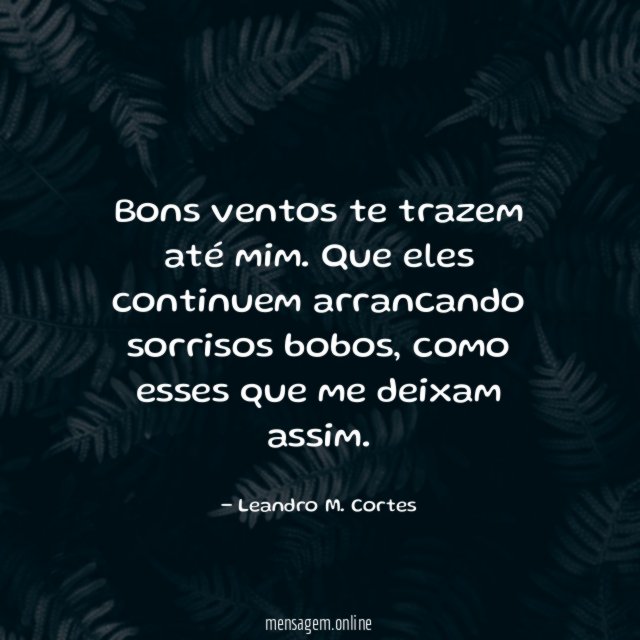 Bons ventos te trazem até mim
