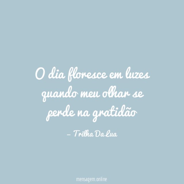 O dia floresce em luzes quando meu olhar