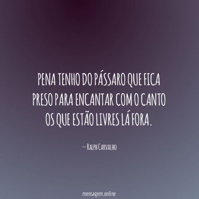 Pena tenho do pássaro que fica preso para
