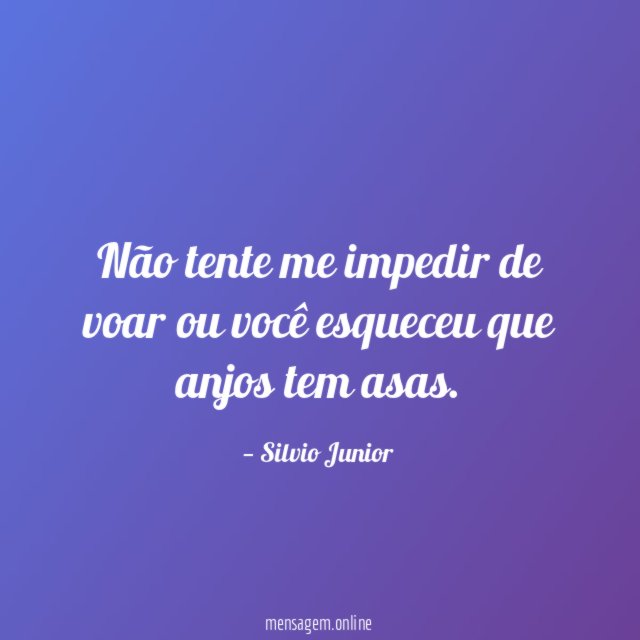 Não tente me impedir de voar ou você