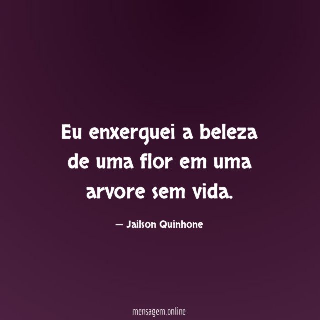 Eu enxerguei a beleza de uma flor em uma arvore sem vida