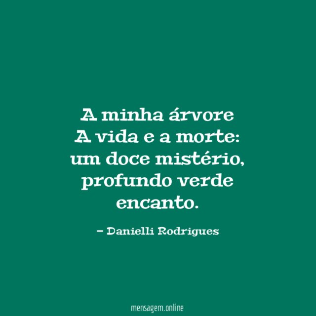 A minha árvore