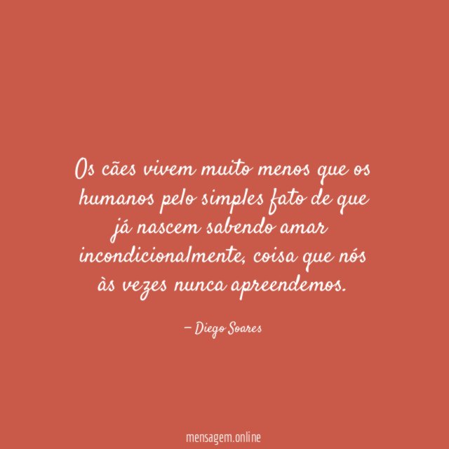 Os cães vivem muito menos que os humanos