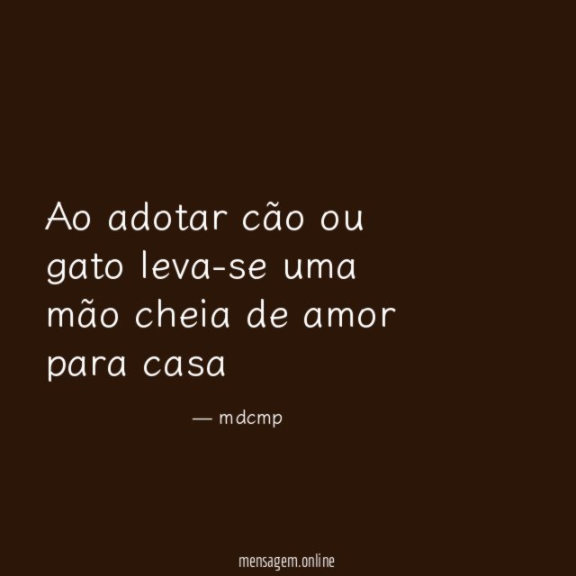 Ao adotar cão ou gato leva-se uma mão