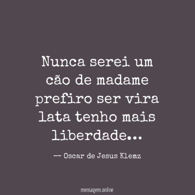 Nunca serei um cão de madame prefiro ser