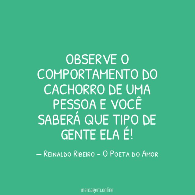Observe o comportamento do cachorro de uma pessoa