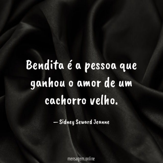 Bendita é a pessoa que ganhou o amor de um cachorro velho