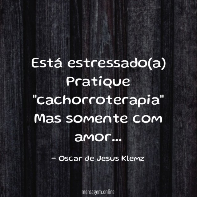 Está estressado(a) Pratique "cachorroterapia" Mas somente com amor
