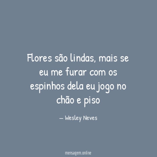 Flores são lindas
