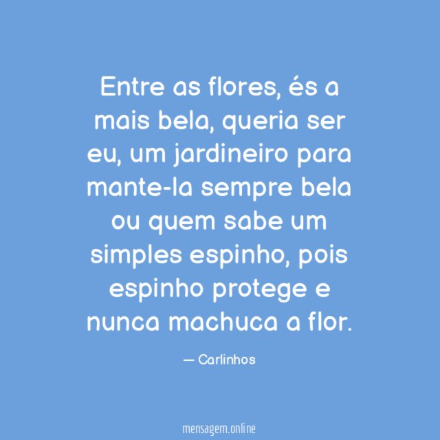 Entre as flores