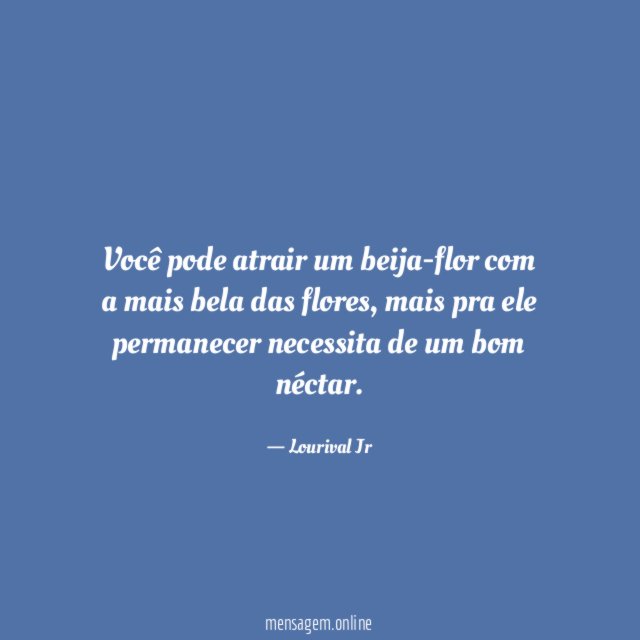 Você pode atrair um beija-flor com a mais bela das flores