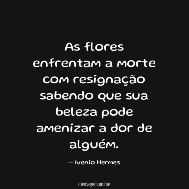 As flores enfrentam a morte com resignação sabendo