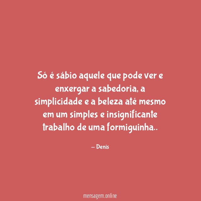 Só é sábio aquele que pode ver e enxergar a sabedoria