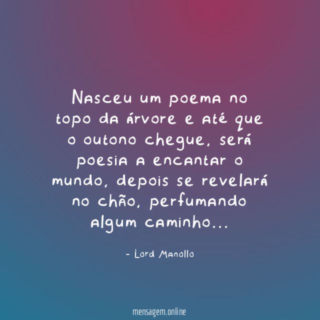 Nasceu um poema no topo da árvore