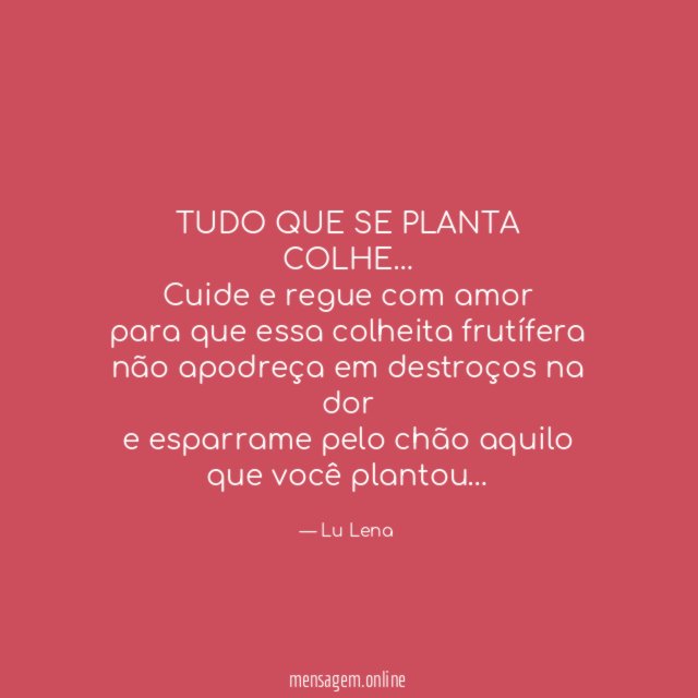 TUDO QUE SE PLANTA COLHE…